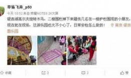 霞湖员工爆料事件视频,揭秘职场真相